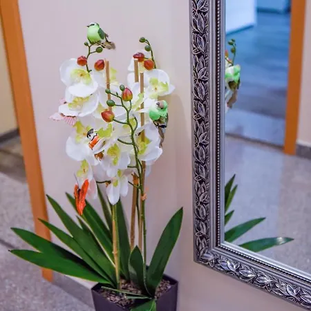 Modernes 1 Und 2 In Mitte