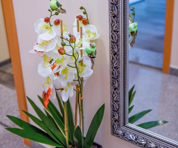 Modernes 1 Und 2 In Mitte